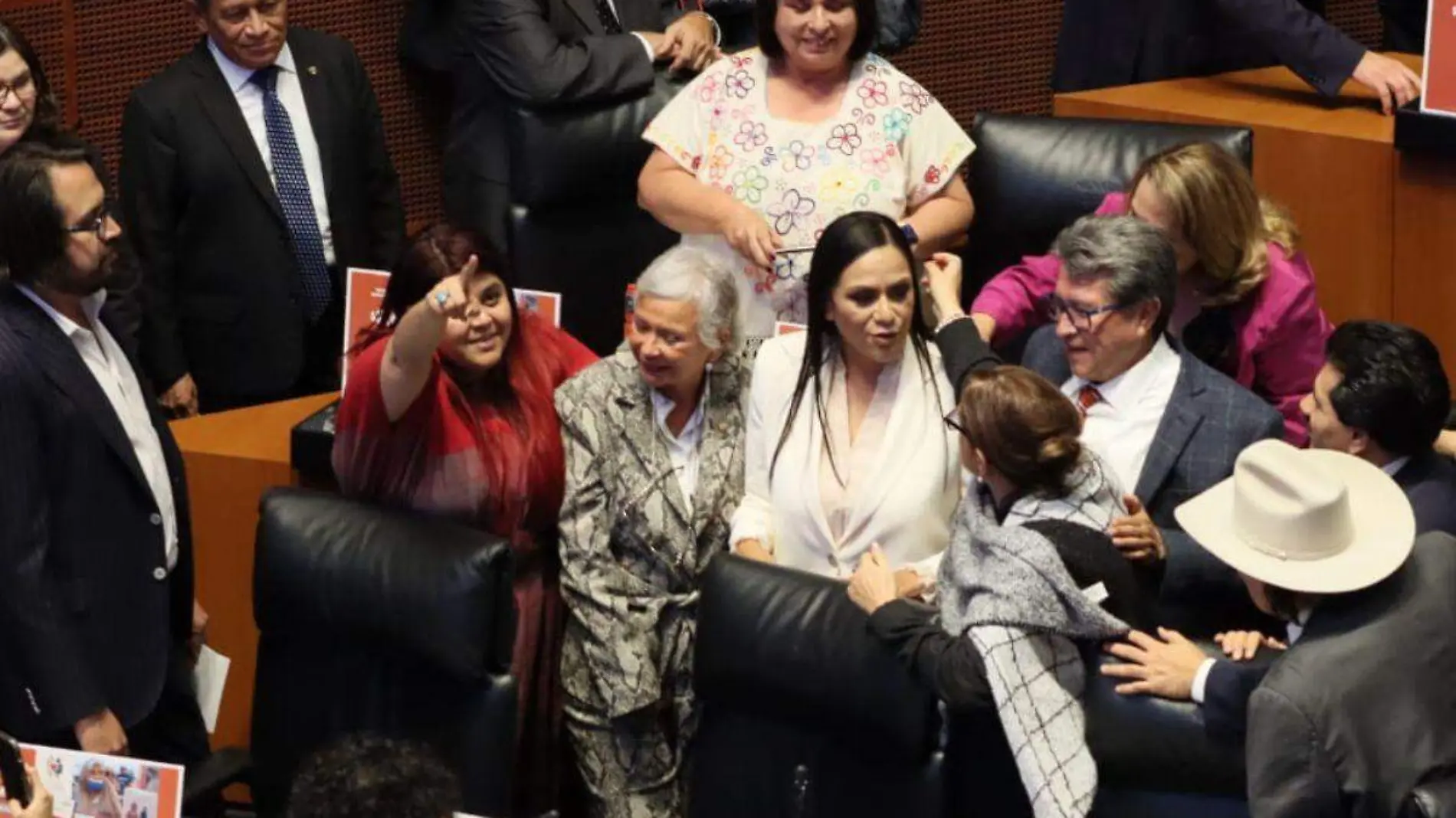 Adriana Montiel en comparecencia del Senado